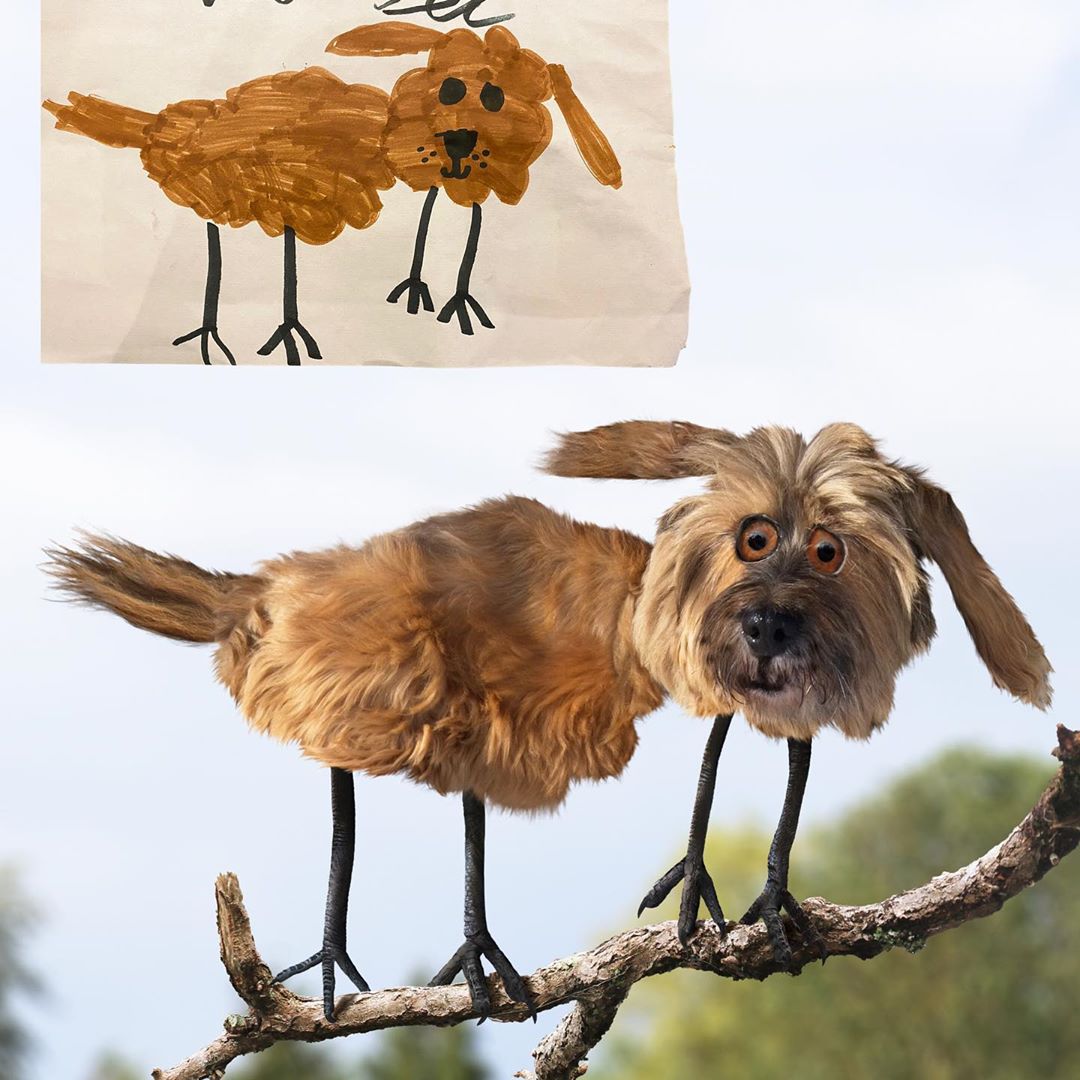 Instagram | @thingsihavedrawn