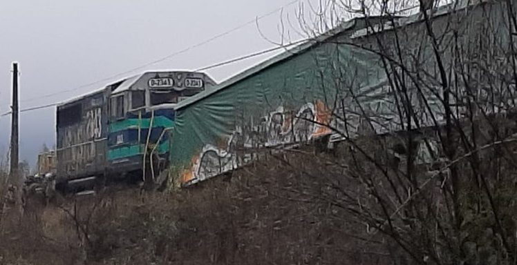 Desrielo afecta a tren de carga en La Araucanía: reportan uso de armas y un herido a bala