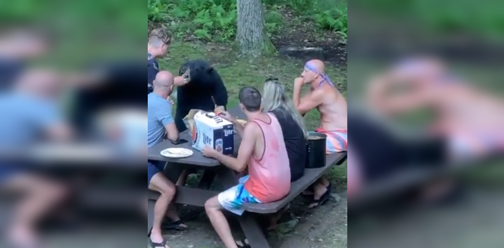 Inofensivo: oso se acercó a disfrutar de un día de picnic junto a una familia en Estados Unidos
