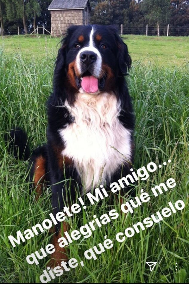 Instagram | Amaro Gómez-Pablos