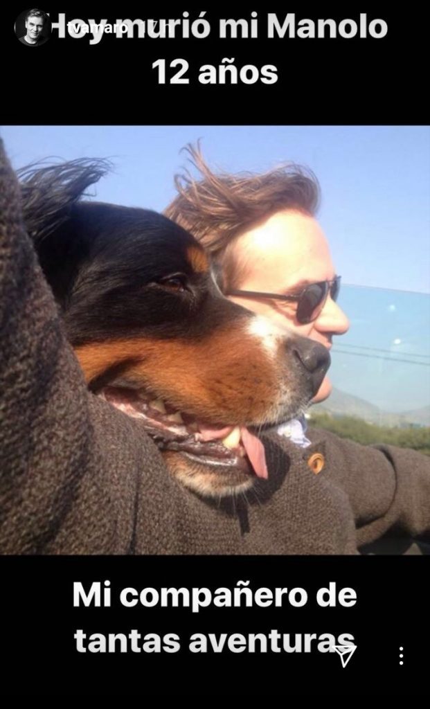 Instagram | Amaro Gómez-Pablos