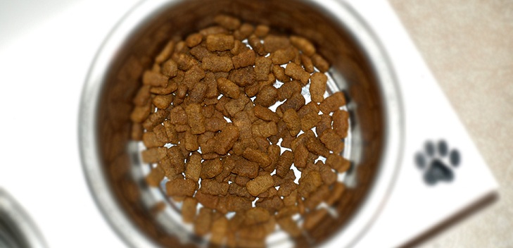 Sernac abre consulta por caso Cannes y busca compensación para dueños de mascotas afectados