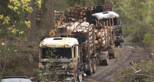 ¿Por qué en La Araucanía se quema la cabina de un camión y no su carga que es de madera?