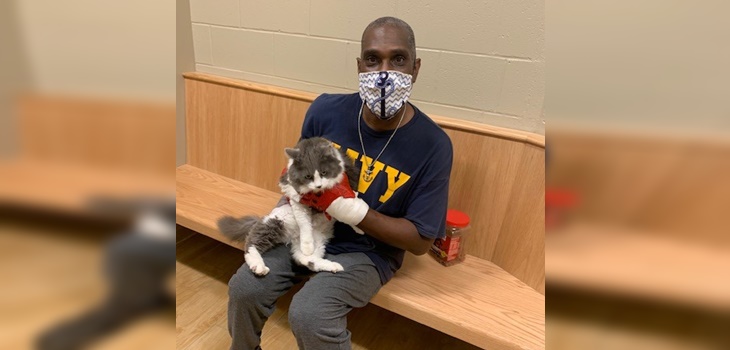 Impensado reencuentro se hace viral: hombre fue a adoptar una mascota y encontró a su gato perdido