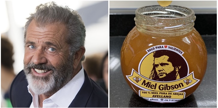 Mel Gibson demandaría a emprendedora chilena por utilizar su imagen y nombre para vender miel