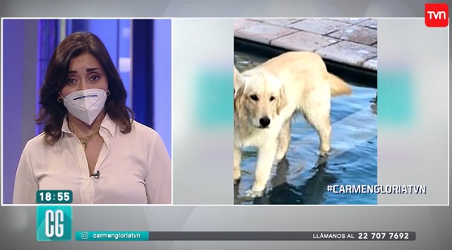 carmen gloria arroyo