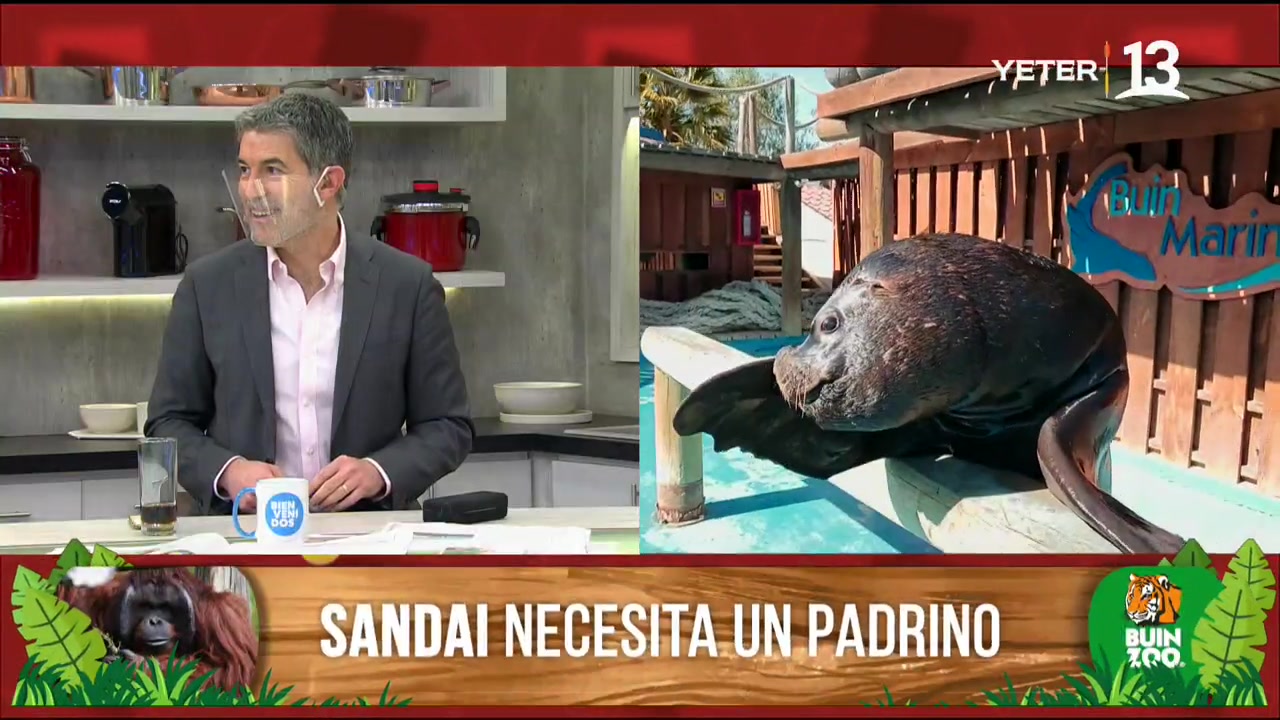 Tonka bromeó a Polo Ramírez en Bienvenidos