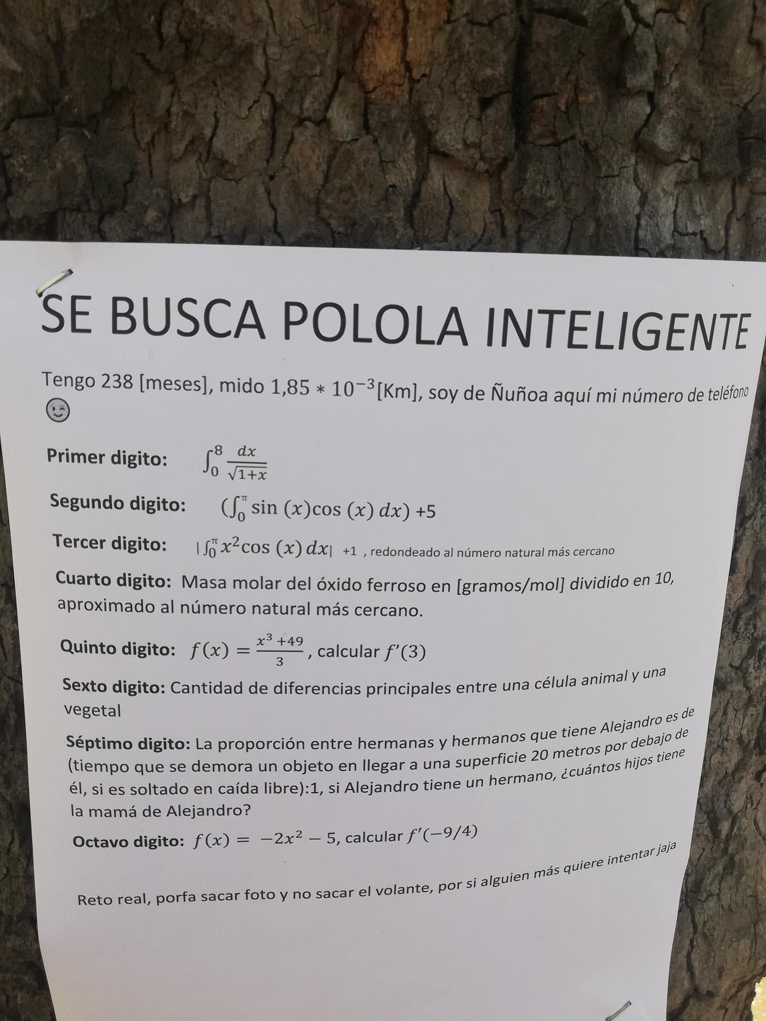 polola inteligente