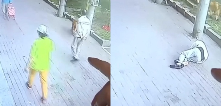 Gato cayó desde balcón y aterrizó en la cabeza de anciano: hombre estuvo 23 días  hospitalizado