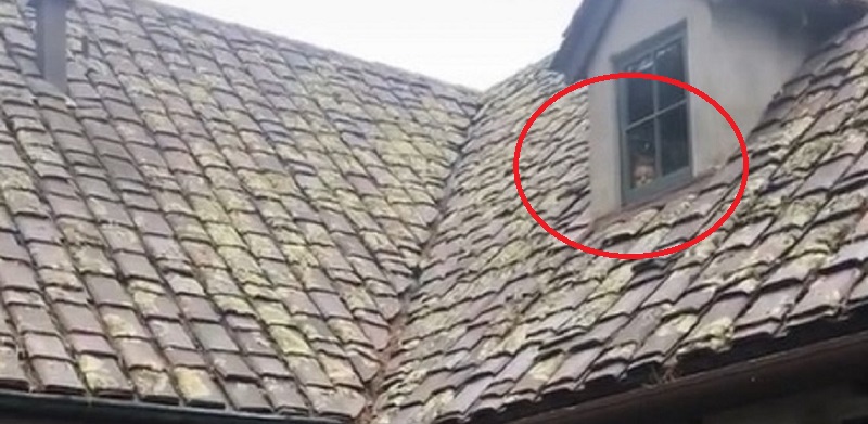 ¿Embrujada? Video que muestra inquietante rostro en casa abandonada desata dudas en redes