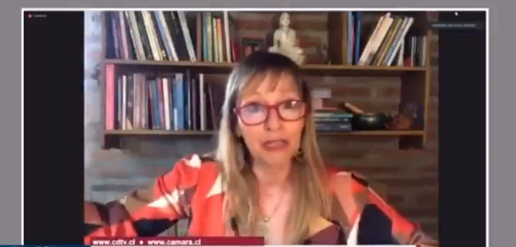 Ana María Gazmuri abandonó sesión en Cámara Baja: hija fue detenida por tener 4 plantas de marihuana