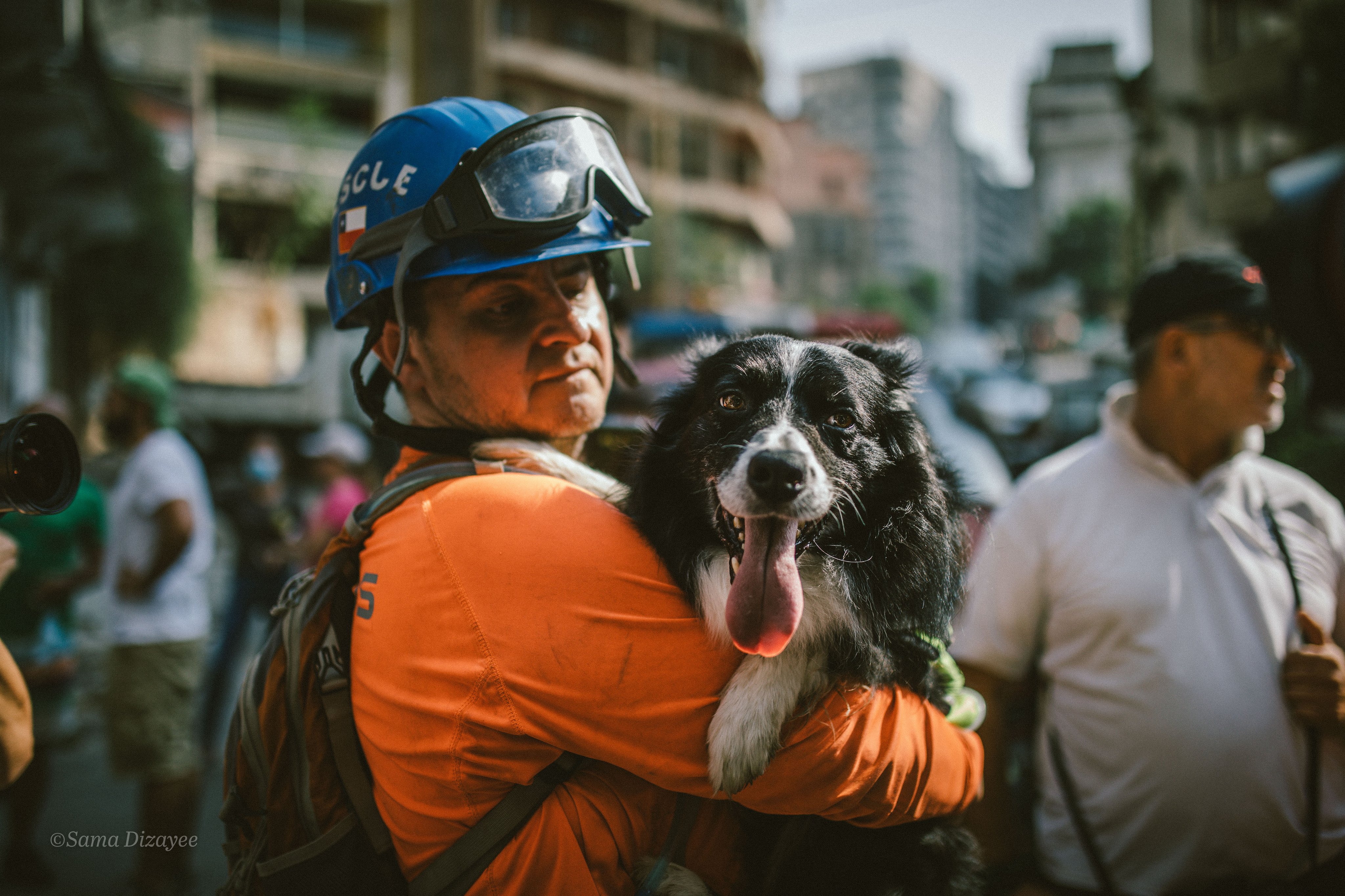 Flash, perro chileno que detectó pulsaciones en Beirut, resultó herido en labores de rescate