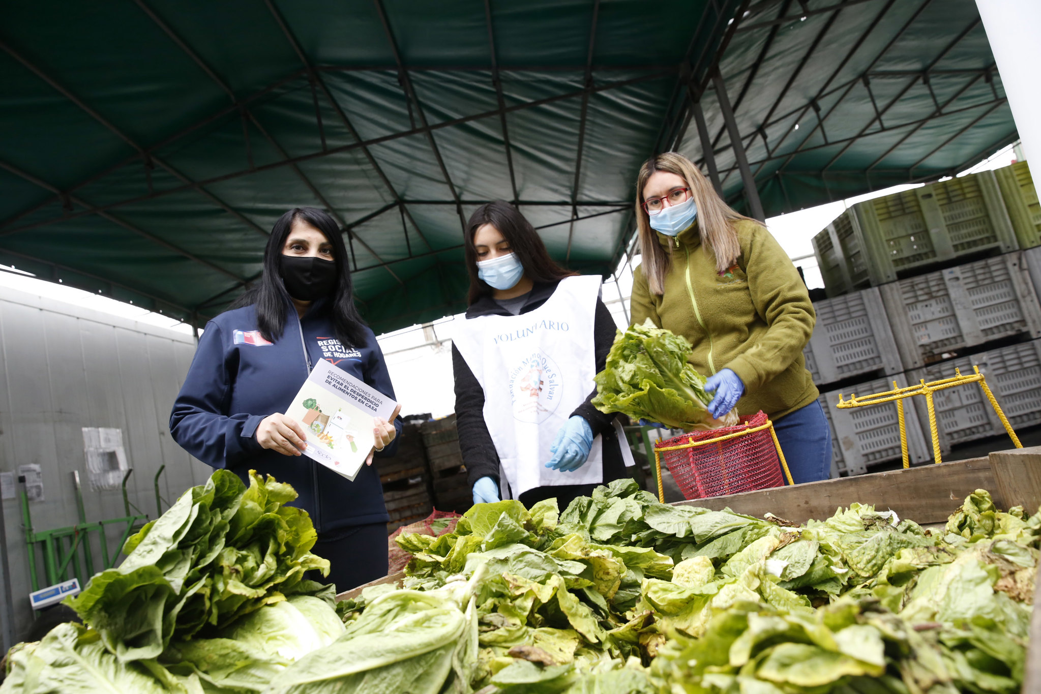 Presentan guía con recomendaciones para evitar el desperdicio de alimentos en el hogar