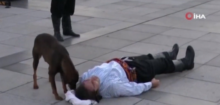 Perro callejero intentó salvar la vida de hombre que actuaba estar muerto en Turquía