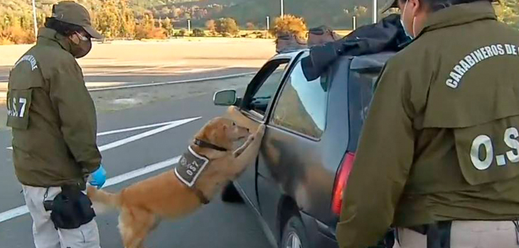 Fiscalizados en vivo: sujetos se trasladaban sin permiso, con drogas y en estado de ebriedad