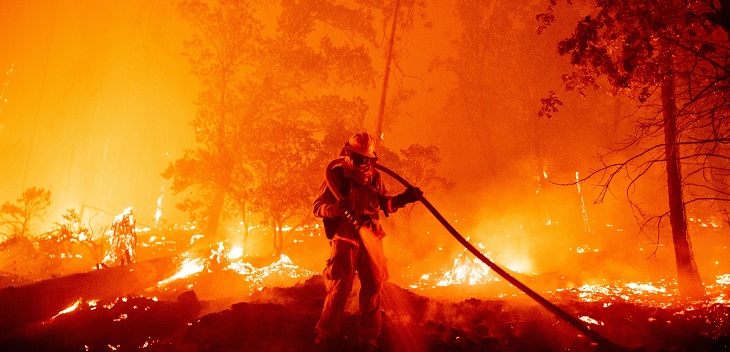 Incendios forestales en California superaron récord de 33 años: 800 mil hectáreas fueron consumidas