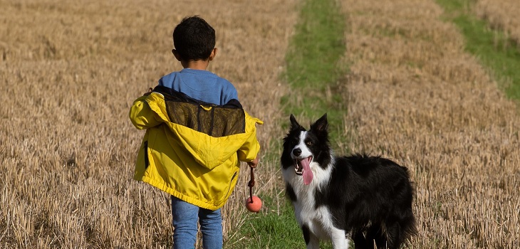 Niño muere acurrucado junto a su perro tras no poder escapar de incendios en Oregon, EE.UU