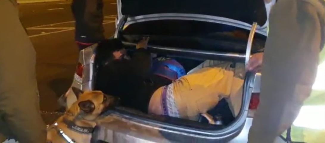 No aprenden: hombre fue detenido por intentar ingresar a región de Coquimbo en maletero de automóvil