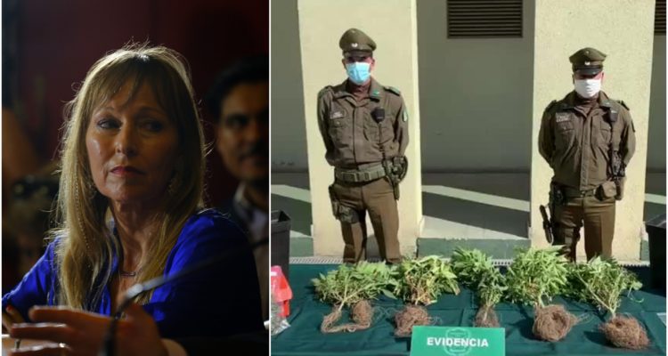Carabineros explica allanamiento a hija de Ana María Guzmuri por tener cinco plantas de marihuana