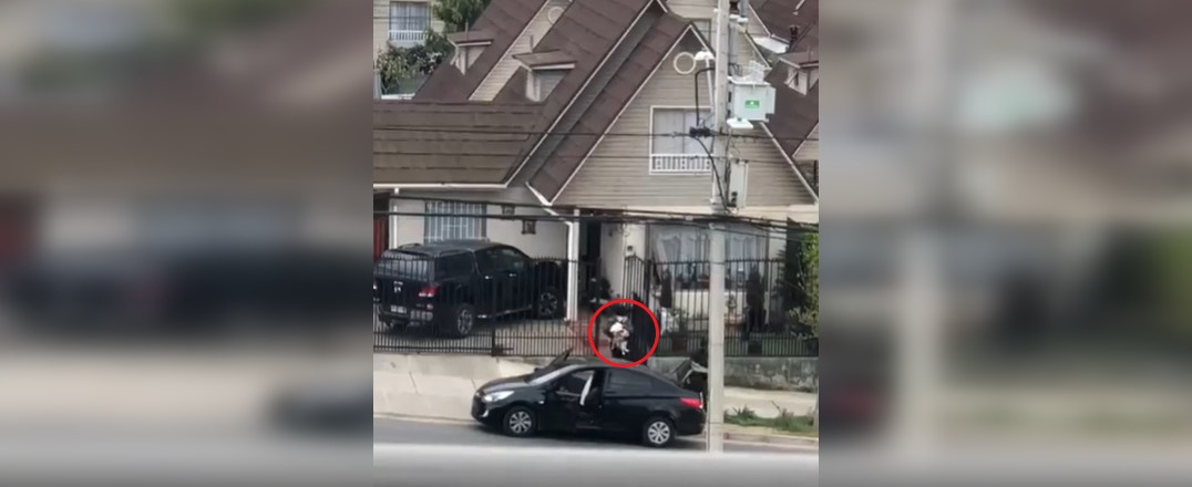 Asaltantes dispararon a dueño de una vivienda en Quilpué para robar 6 perros