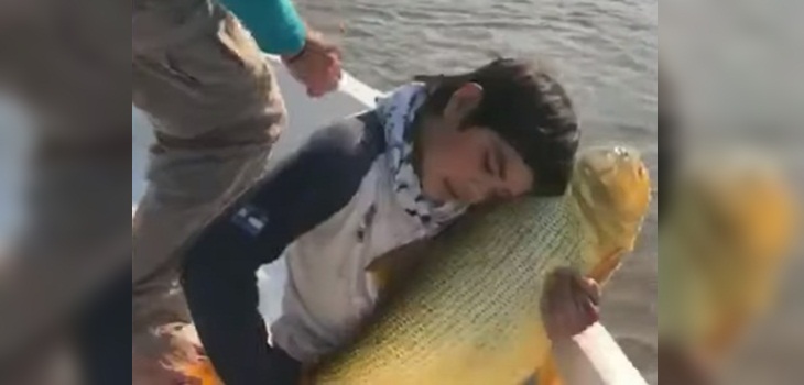 Niño de 12 años atrapó pez dorado gigante y luego lo devolvió al mar: su ejemplo se viralizó