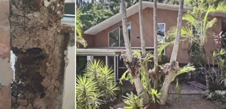 Pareja de Australia deberá derrumbar su casa soñada que costó casi $360 millones por insólita razón