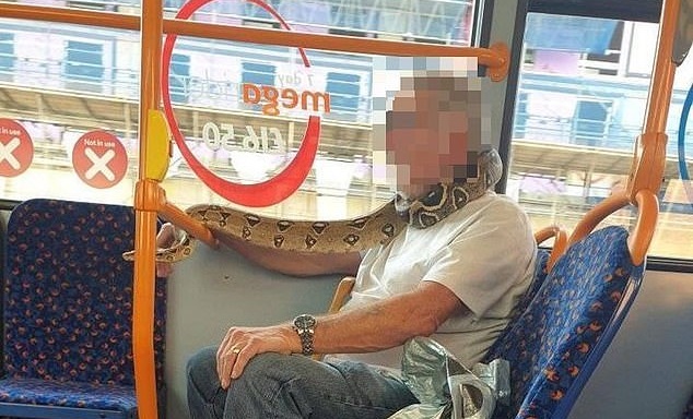 Autoridades británicas recuerdan que una serpiente no puede servir de mascarilla tras insólito caso