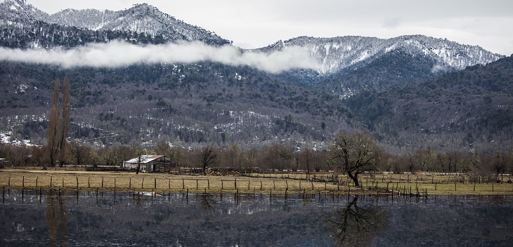 Dos lesionados deja incidente entre comunidad y guardias de fundo de familia Luksic en Lonquimay