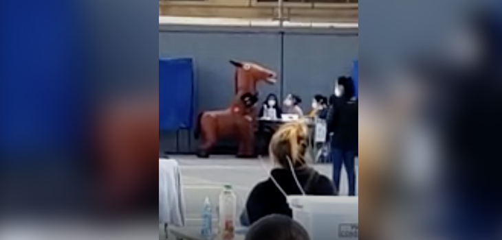 No solo un dinosaurio: hombre llegó a votar disfrazado de caballo en Iquique