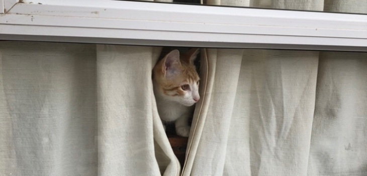 Joven argentina dio insólita referencia de su casa para entrega de un paquete: 