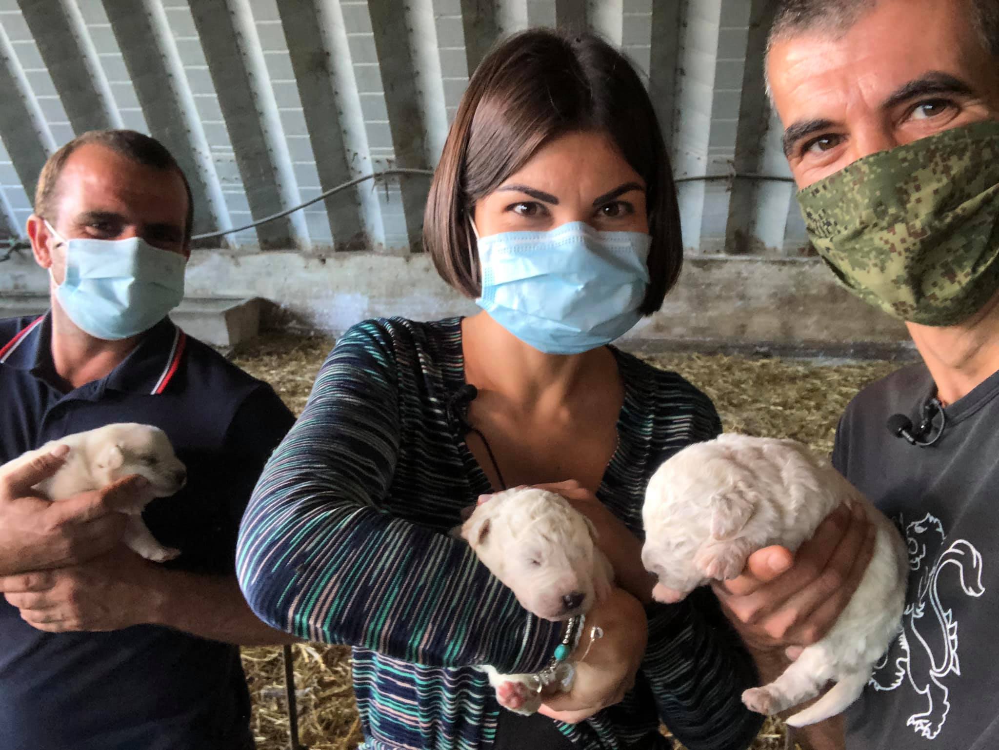 Facebook | Cristian Mallocci