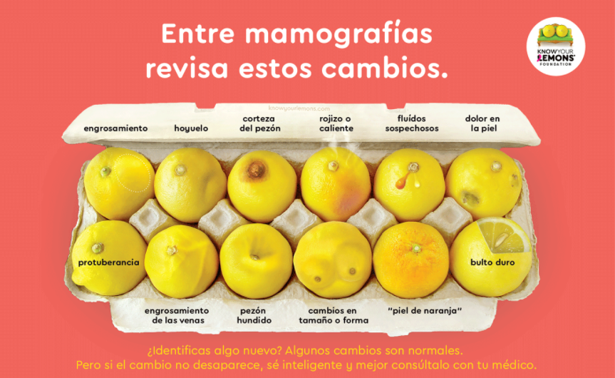 Know Your Lemons