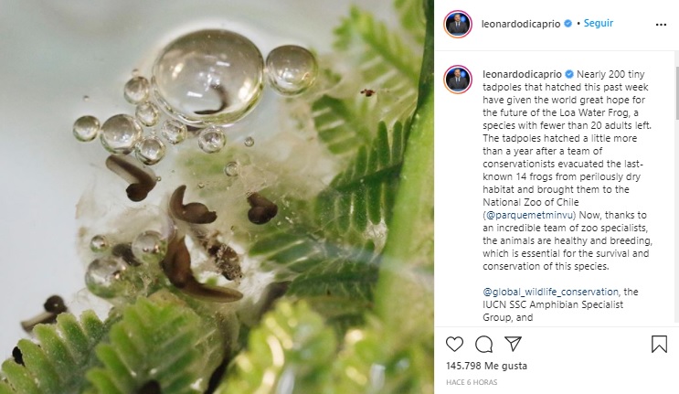 Leonardo DiCaprio Instagram