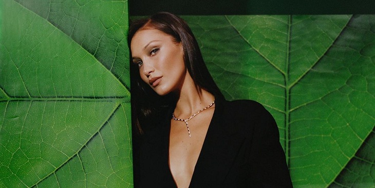 El exclusivo e íntimo cumpleaños número 24 de Bella Hadid: en un jet privado y solo con amigas