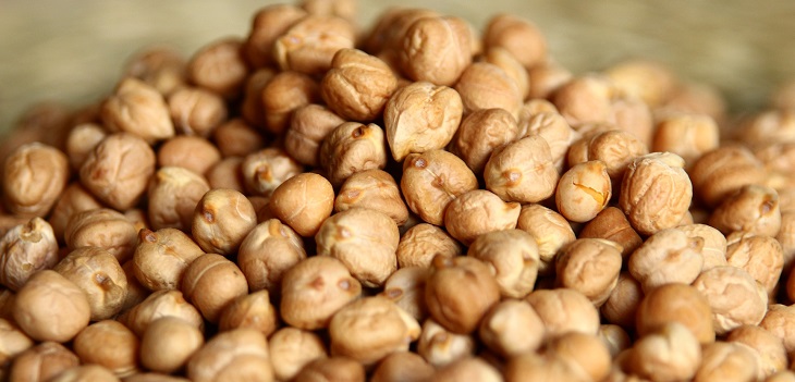 Descubren gusanos en garbanzos de 1.327 canastas entregadas por Junaeb en Coquimbo