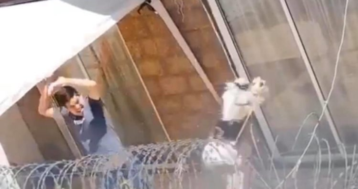 Condenan a hombre acusado de maltrato animal en Puente Alto: quedó inhabilitado para tener mascotas