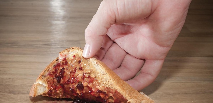 ¿Mito o realidad? Especialista despejó las dudas en torno a la popular regla de los 5 segundos