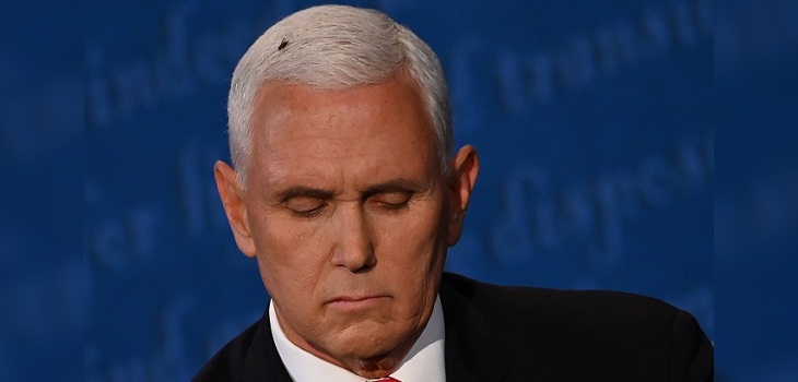 Una mosca en la cabeza de Mike Pence fue la inesperada protagonista en debate estadounidense