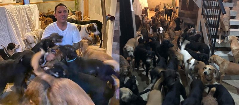 Digno de aplaudir: hombre resguardó a casi 300 animales para cuidarlos del huracán Delta
