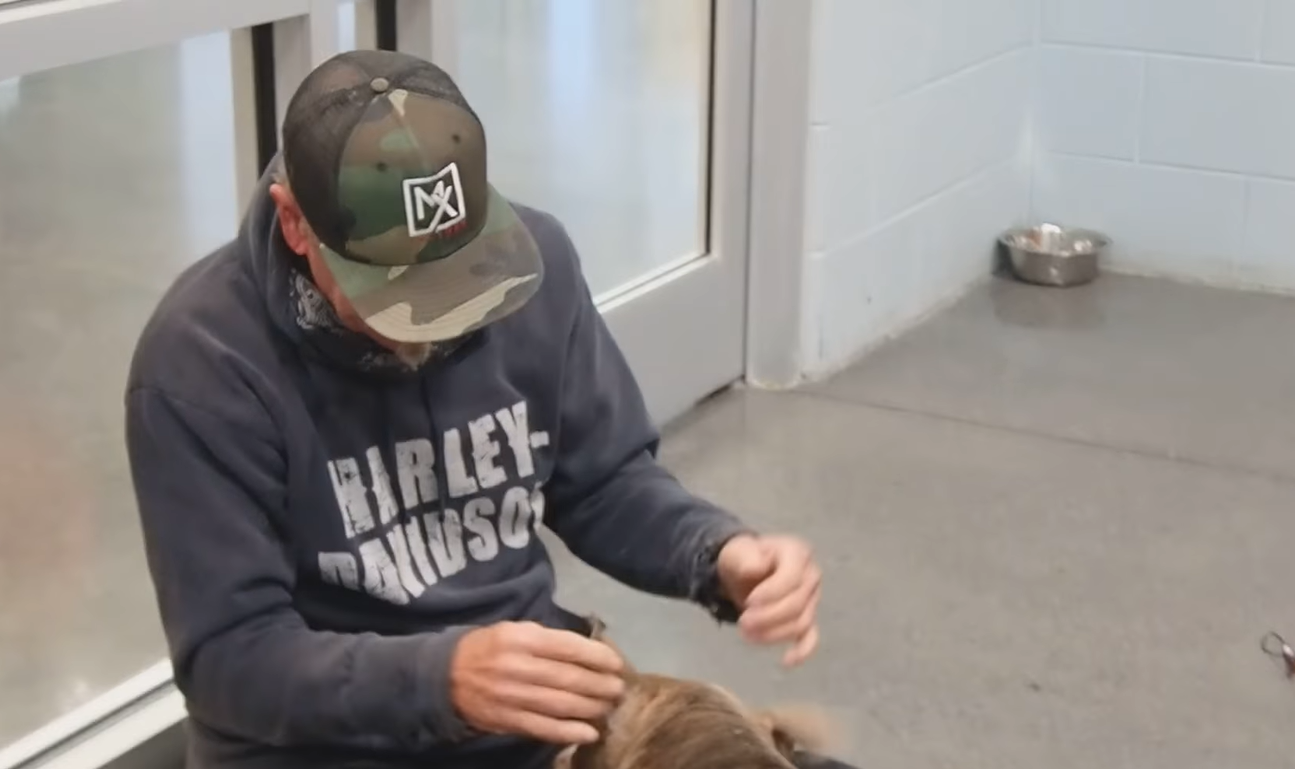 Hombre y su perro se reencuentran tras 200 días separados en emotivo momento viral