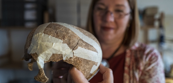 Descubren en Alemania a la 