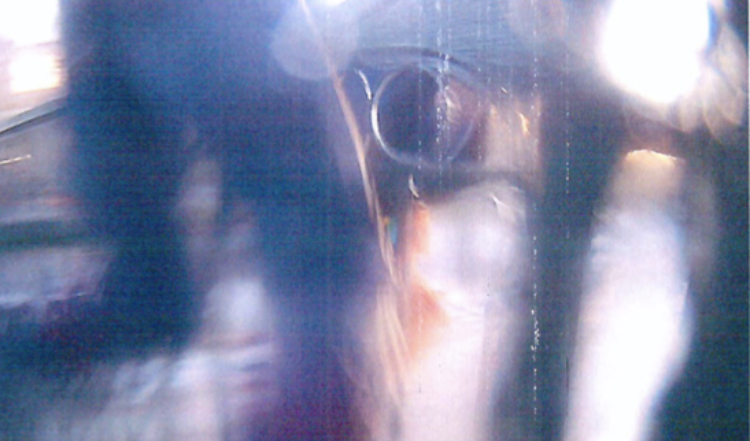 Esto fue lo que grabó la cámara del carabinero acusado de homicidio frustrado en el puente Pío Nono