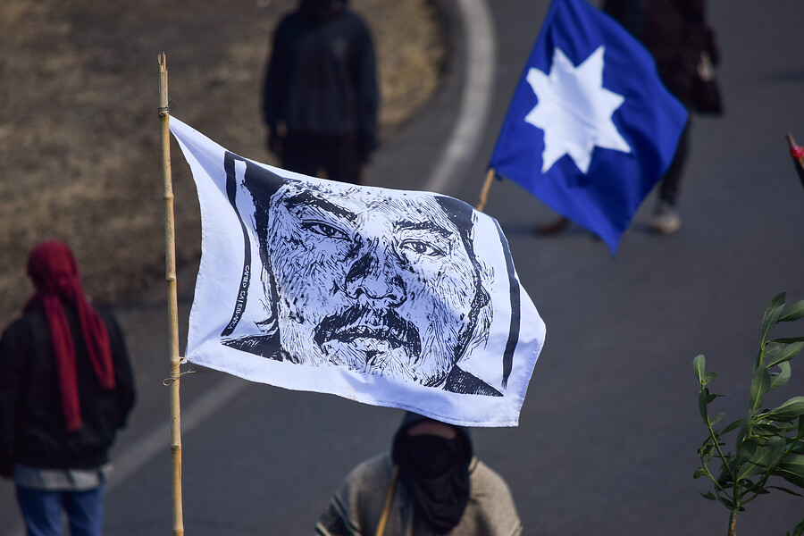 Marcha a 2 años del homicidio de Camilo Catrillanca corta tránsito en Ruta 5 a altura de Ercilla