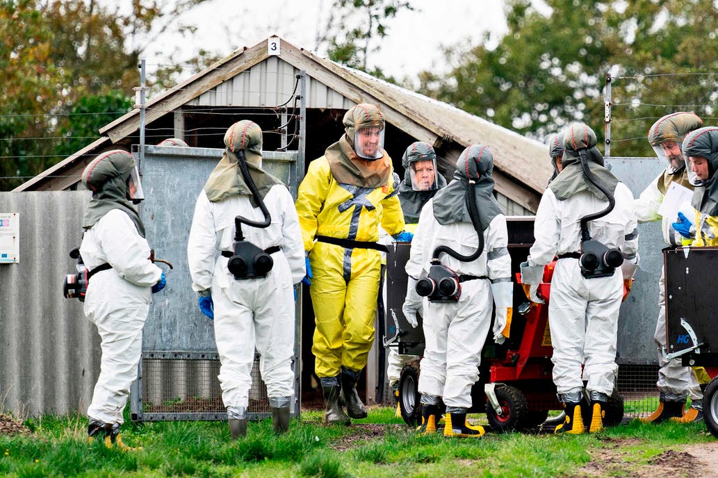 Dinamarca sacrifica visiones por mutación COVID-19