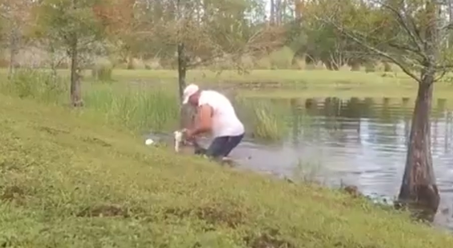 Hazaña viral: video muestra cómo un hombre rescató a su perro de las fauces de un cocodrilo