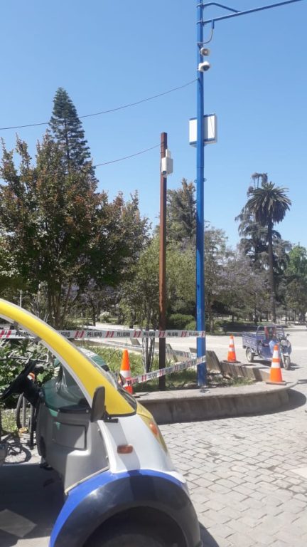 perrito electrocutado 