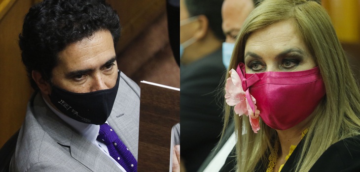 Briones y dichos de Pamela Jiles sobre un posible tercer retiro del 10%: 