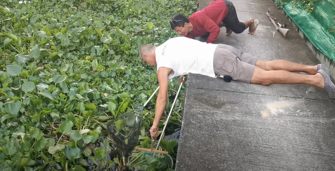 Desesperante momento se volvió viral: hombre rescata a cachorro de morir ahogado en un río