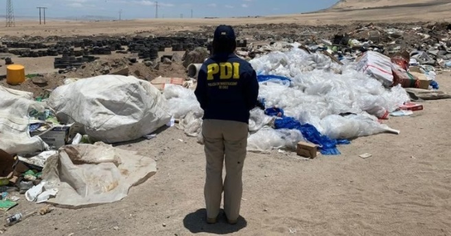 Investigan origen de 17 cadáveres de tiburones sin cabeza en vertedero ilegal de Antofagasta