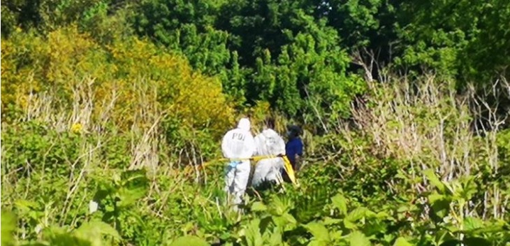 Mujer encontrada en sitio eriazo de Valdivia habría muerto asfixiada: PDI confirmó su identidad